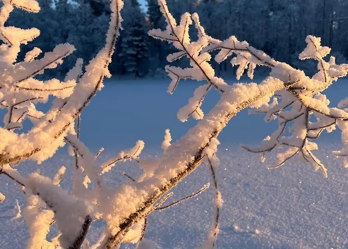 Lossivahdin Kodikas 1-4 Hloe Oma Keittioe Ja Ilmainen Pysaekoeinti, Toerroessae, * Pudasjarvi