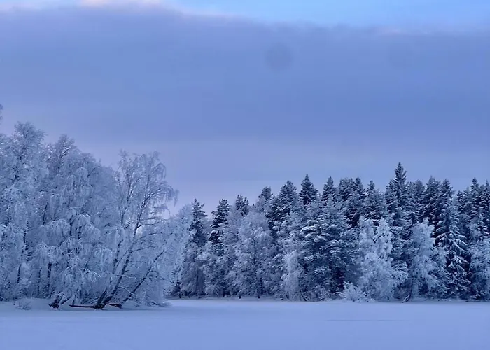Lossivahdin Kodikas 1-4 Hloe Oma Keittioe Ja Ilmainen Pysaekoeinti, Toerroessae,